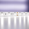 Миниатюра фото светодиодная лента maytoni technical 14,4w/m 60led/m 5050smd холодный белый 5m 10130 | 220svet.ru