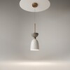 Миниатюра фото подвесной светильник maytoni cloches mod113pl-01w | 220svet.ru