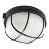 Миниатюра фото настенно-потолочный светильник tdm electric нпб1302 sq0303-0033 | 220svet.ru