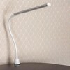Миниатюра фото настольная светодиодная лампа на струбцине citilux рио cl803090n | 220svet.ru