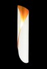 Миниатюра фото настенный светильник crystal lux clt 230w wh-go | 220svet.ru