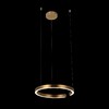 Миниатюра фото подвесной светодиодный светильник loft it ring 10013m | 220svet.ru