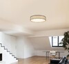 Миниатюра фото потолочный светодиодный светильник globo paco 15185d5 | 220svet.ru