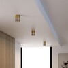 Миниатюра фото потолочный светодиодный светильник elektrostandard 25047/led 10w 4000к латунь/дымчатый a064708 | 220svet.ru