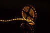 Миниатюра фото лента swg 14,4w/m  60led/m 5050smd желтый 5m swg560-12-14.4-y-m 009262 | 220svet.ru