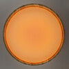 Миниатюра фото потолочный светодиодный светильник с пультом ду citilux enzo cl753452g rgb | 220svet.ru