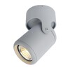 Миниатюра фото спот arte lamp a3316pl-1gy | 220svet.ru