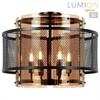 Миниатюра фото потолочная люстра lumion zarina 8007/6c черный | 220svet.ru