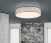 Миниатюра фото потолочный светодиодный светильник globo paco 15185d2 | 220svet.ru