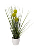 Миниатюра фото алиум зеленый garda decor 8j-20rk0005-gr | 220svet.ru