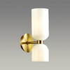 Миниатюра фото бра odeon light orinoco 4798/2w | 220svet.ru
