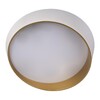 Миниатюра фото потолочный светодиодный светильник loft it coin 10199 white | 220svet.ru