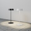 Миниатюра фото уличный переносной аккумуляторный светильник maytoni porto o540tl-l2wcct | 220svet.ru