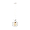 Миниатюра фото подвесной светильник loft it wildlife loft1806 | 220svet.ru