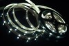Миниатюра фото лента swg 7,2w/m  30led/m 5050smd холодный белый 5m swg530-12-7.2-w-м 009261 | 220svet.ru
