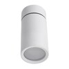 Миниатюра фото потолочный светильник lucia tucci ltp-c007-01gu10-w | 220svet.ru