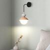 Миниатюра фото настенный светильник imperium loft pompon 209090-23 | 220svet.ru